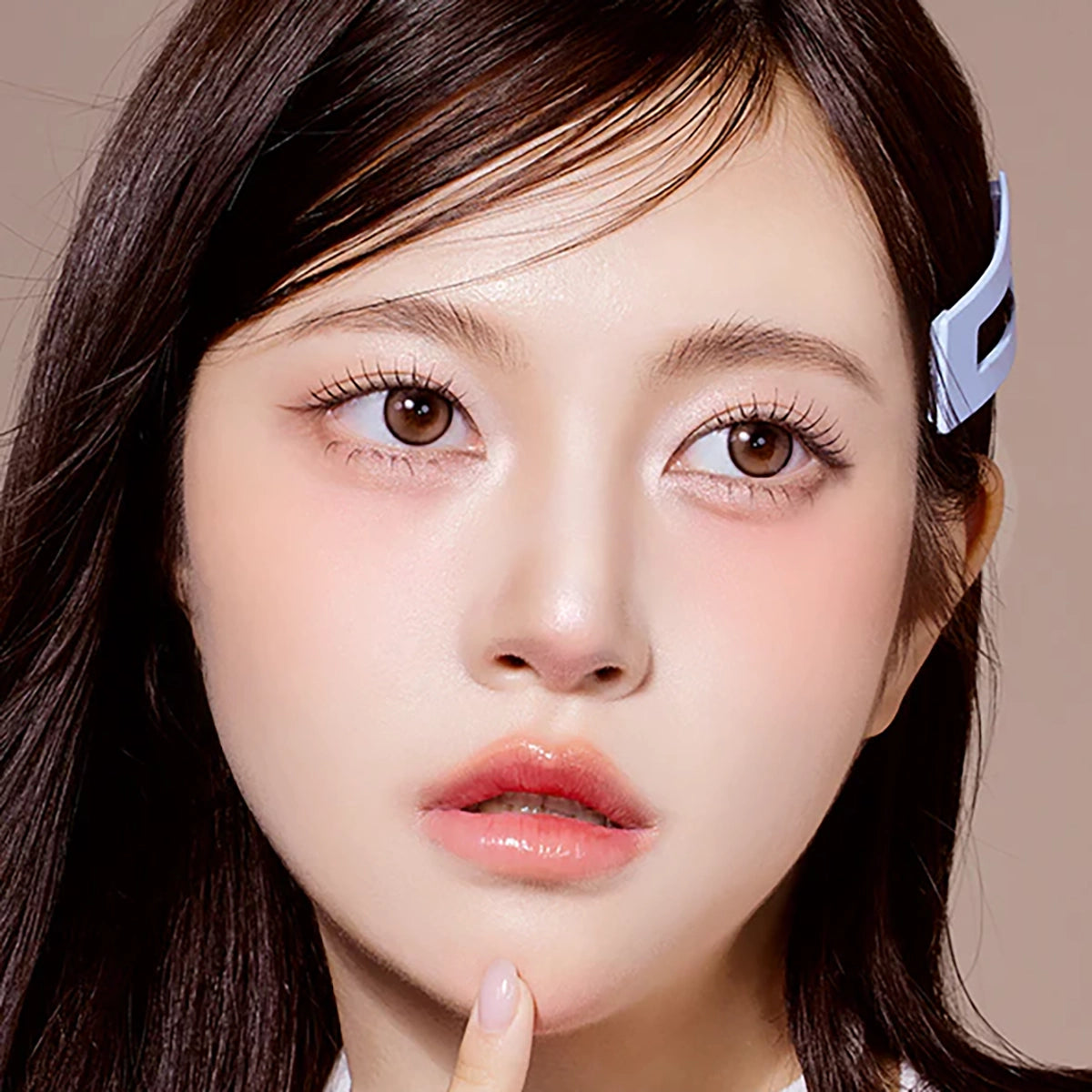 Meow 1Day Coon Brown