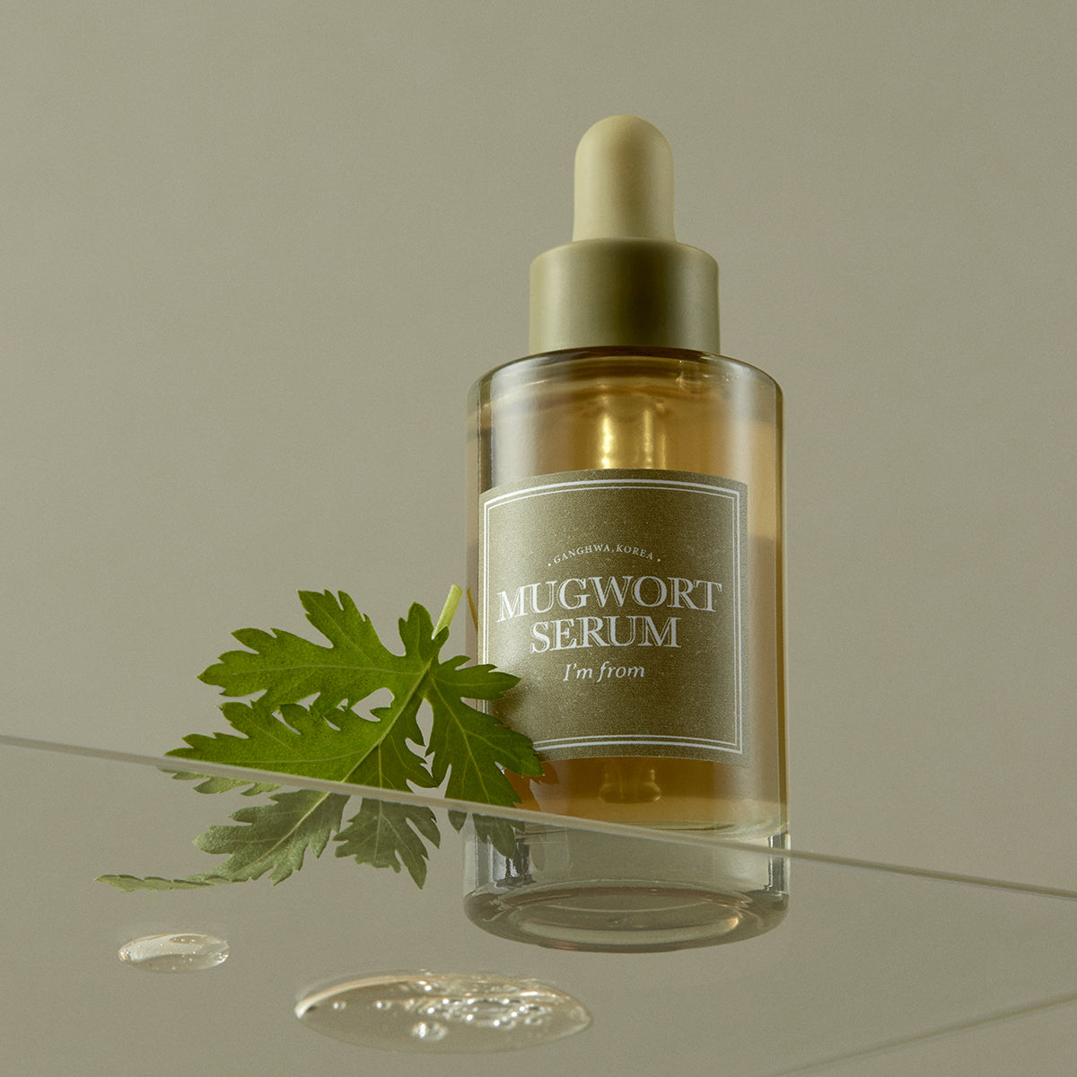 Mugwort Serum