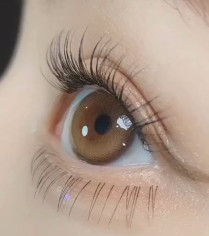 Purity Shine 1Day Hazel Brown