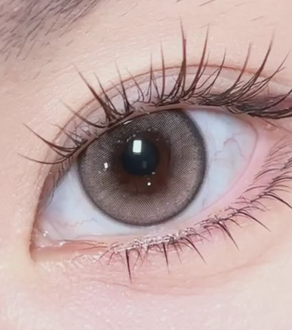 Meow 1Day Kitten Beige