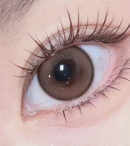 Meow 1Day Coon Brown