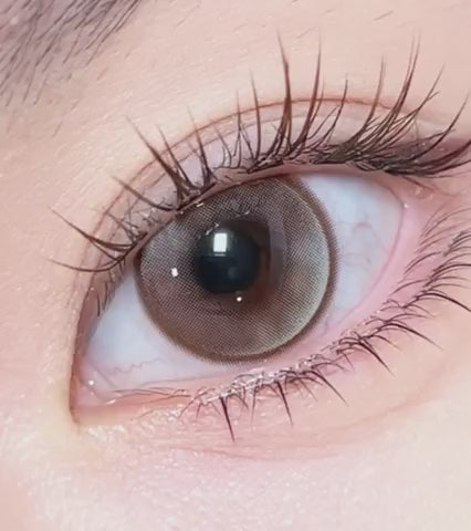 Meow 1Day Savannah Brown