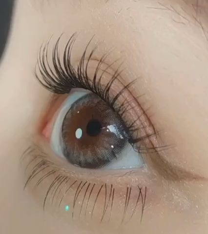 Dazzling 1Day Ice Grey