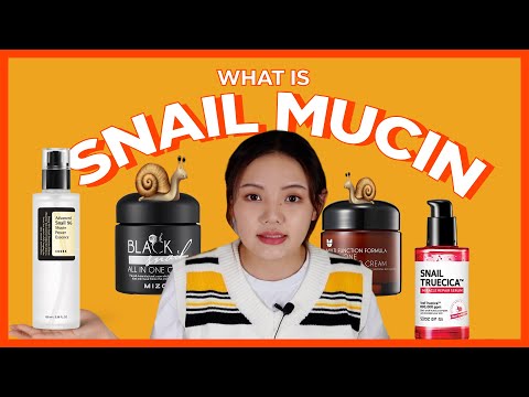 All in One Snail Repair Cream