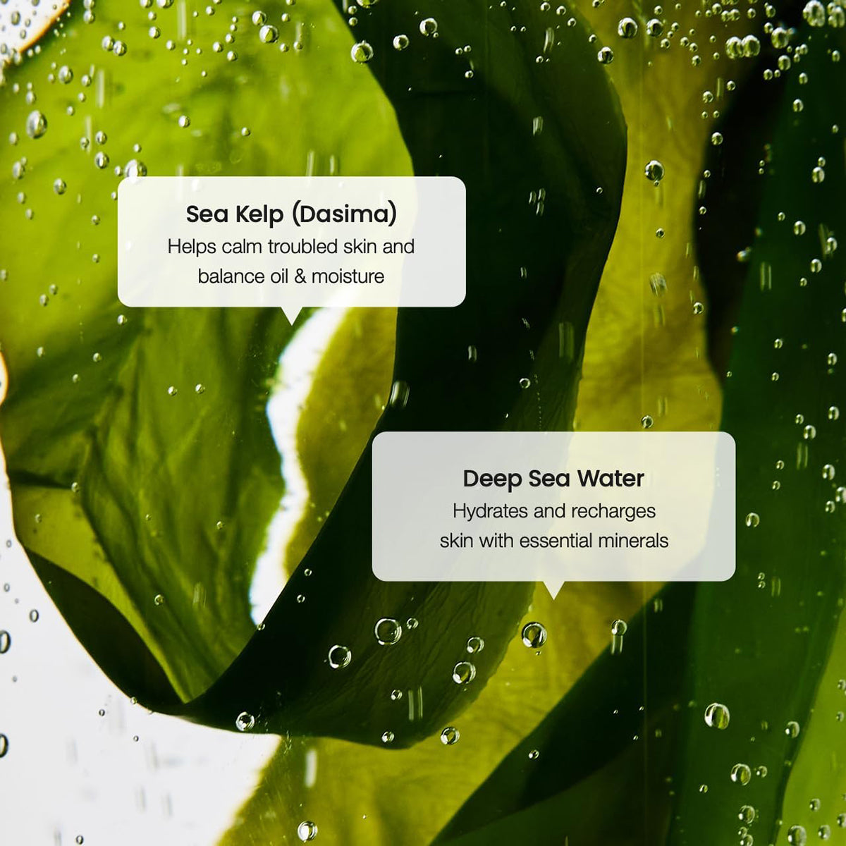 Refreshing Sea Kelp Serum