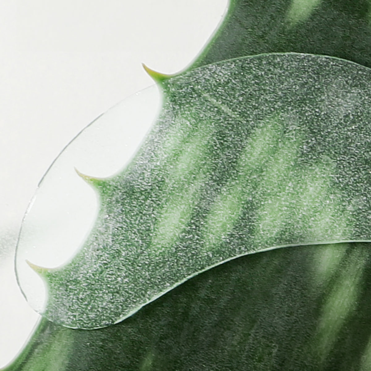 Cicaluronic Vegan De-Puffing Eye Gel Patch