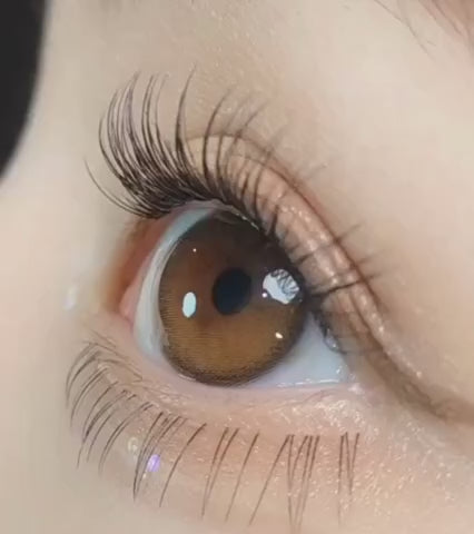 Daymood 1Day Brown
