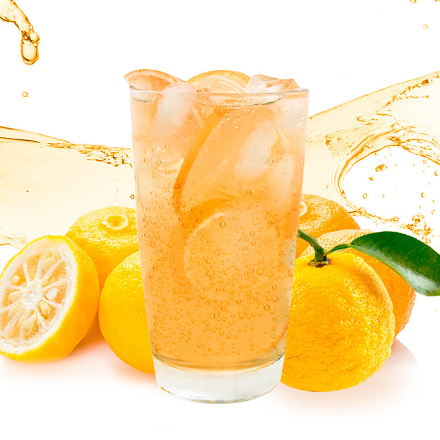 Kombucha Drink Mix [#Citron]